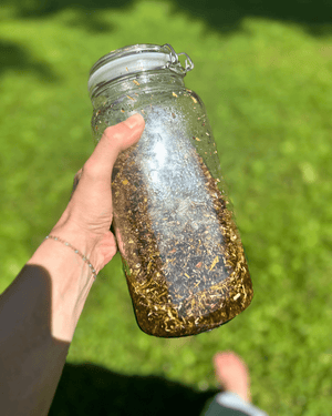 ANOINT Herbal Womb Oil