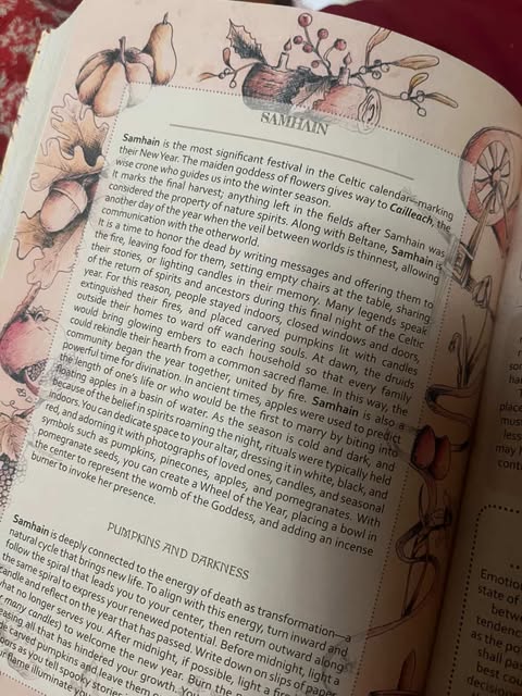 Lunar and Menstrual Planner 2026