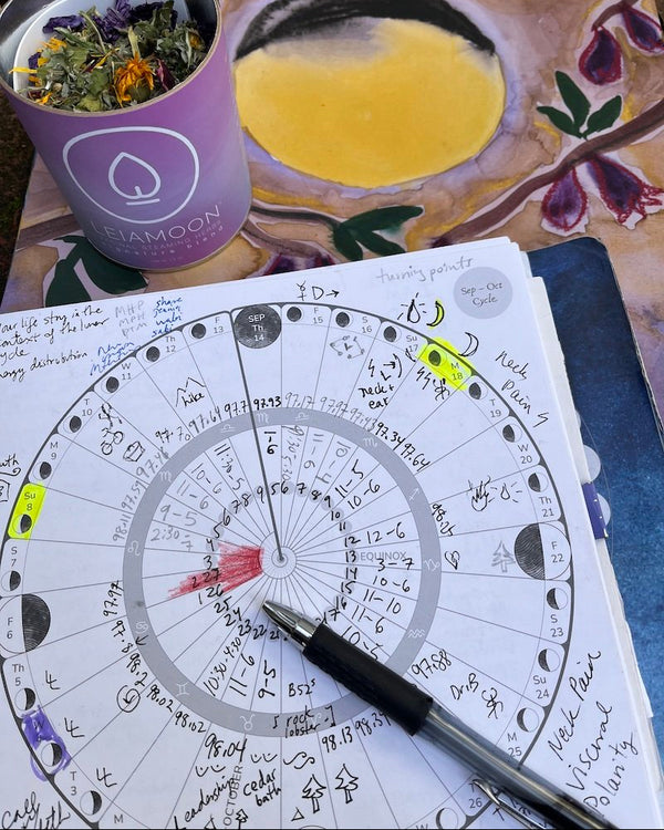 Lunation Journal 2026